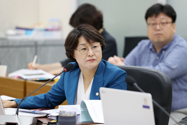 오현주 의원이 지난 5월 24일 발의한 「광주시 시도등과 다른 시설의 연결에 관한 조례」의 전부개정 조례안이 본회의 심사를 통과했다./ 광주시의회 제공
