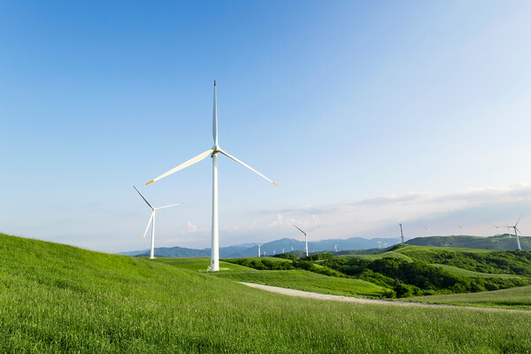 영국 정부가 총선을 앞두고 기후위기보다 표심을 신경쓴다는 의혹이 제기됐다. 