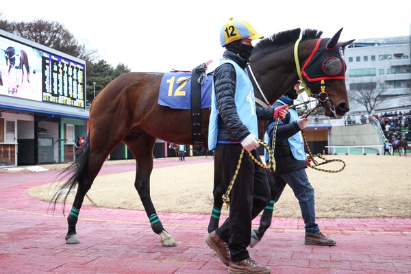 경주마 대한질주. /한국마사회 제공