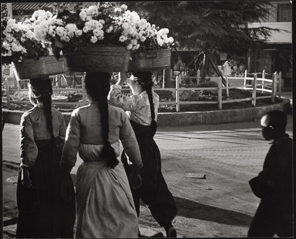 뮤지엄한미 전시작 임응식 작가 아침 Morning. /뮤지엄한미 제공