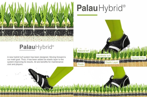 하이브리드 잔디의 기본 형태. /팔라우 터프 홈페이지
