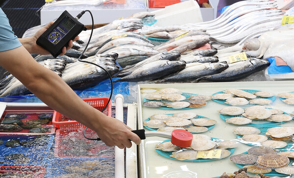 대구 북구 매천동 수산물시장의 관계자가 지난달 28일 일본산 가리비에 대해 직접 방사능 검사를 실시했다. / 연합뉴스.