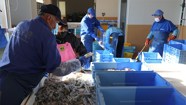 중국 정부가 일본의 후쿠시마 원전 오염수 방류 직후 일본산 수산물 수입을 전면 금지하고 있다. 사진은 지난 7월 중국의 일본산 수입 수산물 방사능 검사 모습. / 연합뉴스. 