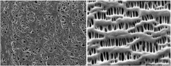 전자현미경으로 본 습식분리막(좌)과 건식분리막(우) / 삼성SDI