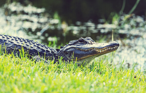기사와 직접적 관련 없는 이미지. 