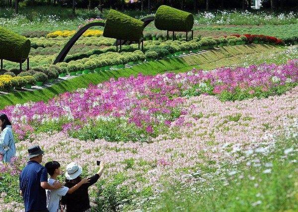 가을 산행 이미지. 위 사진은 기사 내용과 관련 없음. /연합뉴스 제공