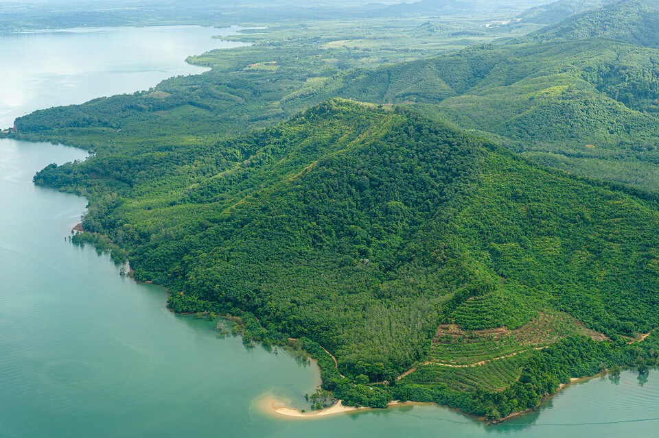 브라질 아마존 열대우림이 기후위기에 몸살을 앓고 있다. 
