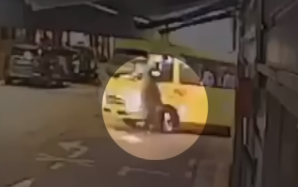 채널A 보도영상 갈무리