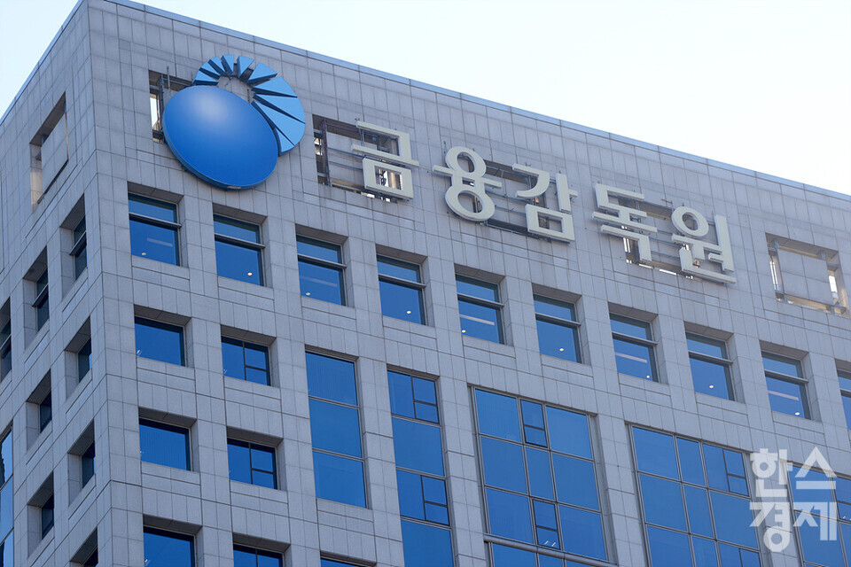 금융감독원. /한스경제DB