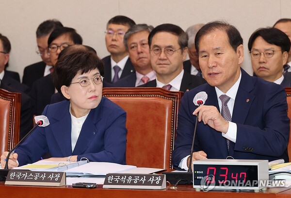 24일 김동섭 한국석유공사 사장이 국회 산업통상자원중소벤처기업위원회 국정감사에서 답변하고 있다. / 연합뉴스 제공