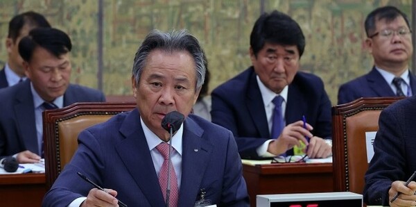이기흥 대한체육회 회장이 24일 국회 문화체육관광위원회 국정감사에서 답변하고 있다. /연합뉴스