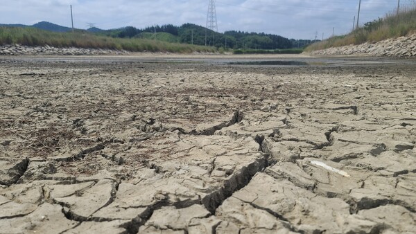 지구 온난화로 인해 서아시아 국가들의 가뭄 빈도와 강도가 심해지고 있다는 연구 결과가 나왔다. / 연합뉴스. 