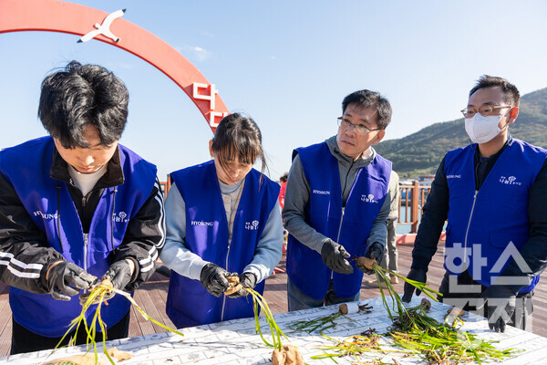 효성, 효성티앤씨, 효성첨단소재, 효성중공업, 효성화학 임직원이 경남 거제시 다포항 일대에서 잘피 이식 준비를 하고 있다. / 효성그룹