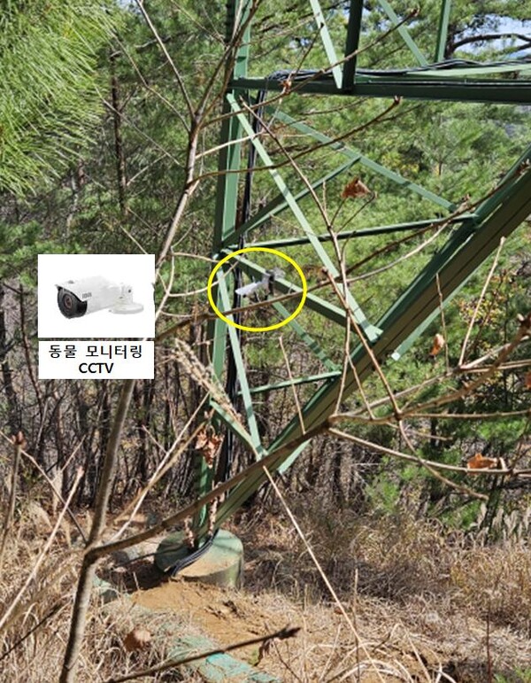 시범철탑에 설치된 동물 모니터링용 cctv(노란색 원안쪽) 및 확대 이미지. / 한국전력 제공. 
