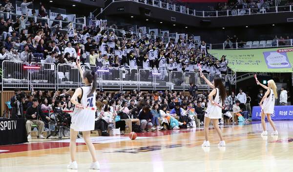 1월 27일 수원 KT 아레나에서 열린 2023-2024 정관장 프로농구 수원 KT와 안양 정관장의 경기. KT 관중의 응원 모습. /KBL 제공