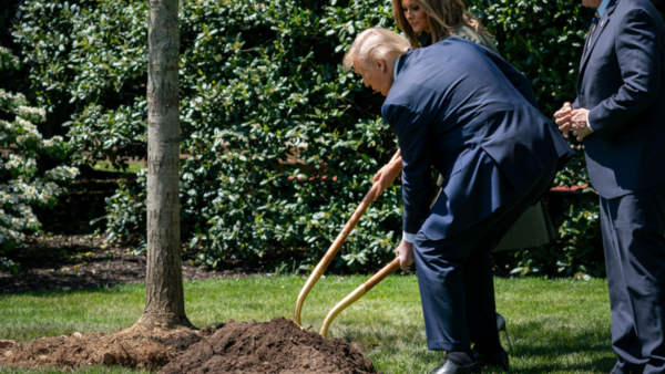 지구의 날을 기념해 나무를 심는 트럼프 전 미국 대통령 / BBC 제공