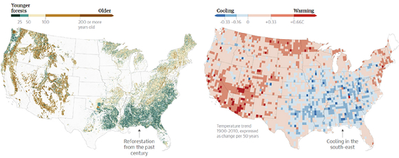미국 남동부 지역에서는 산림 재조림으로 어느 정도 냉각 효과가 있었던 것으로 나타났다. / 가디언