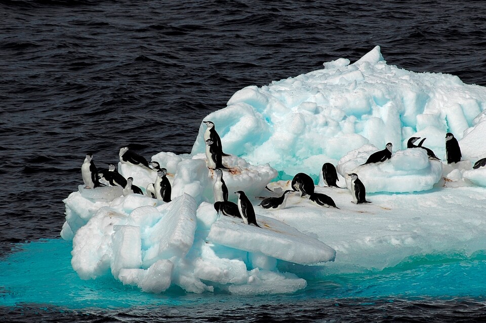  남극 해빙 규모가 3년 연속 사상 최저 수준이라는 연구 결과가 나왔다.