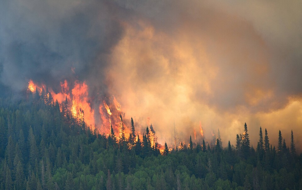 지난 6월 캐나다 퀘벡주 미스티시니 인근 지역을 조사하는 캐나다군 헬리콥터에서 바라본 산불. / 연합뉴스