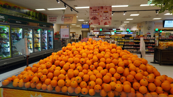 이마트가 망고·오렌지 등 과일 골라담기 행사를 오는 15일부터 21일까지 진행한다. / 이마트 제공