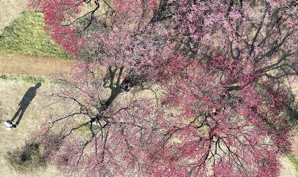 봄 날씨. /연합뉴스 제공