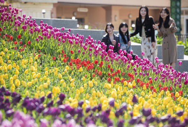 100여종 약 120만 송이 봄꽃이 만발하는 에버랜드 포시즌스가든. /에버랜드 제공