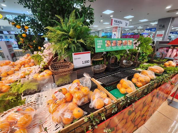 롯데마트 안산점 과일코너에서 정부 지원을 받은 오렌지가 판매되고 있다. / 사진=이수민 기자
