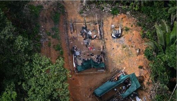 브라질 아마존의 불법 삼림벌채 현장 / 사진=연합뉴스