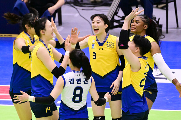 프로배구 V리그 여자부 현대건설. /KOVO 제공