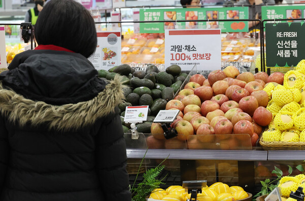  지난 31일 서울 시내 한 대형마트에서 한 시민이 사과 가격을 바라보고 있다./연합뉴스.