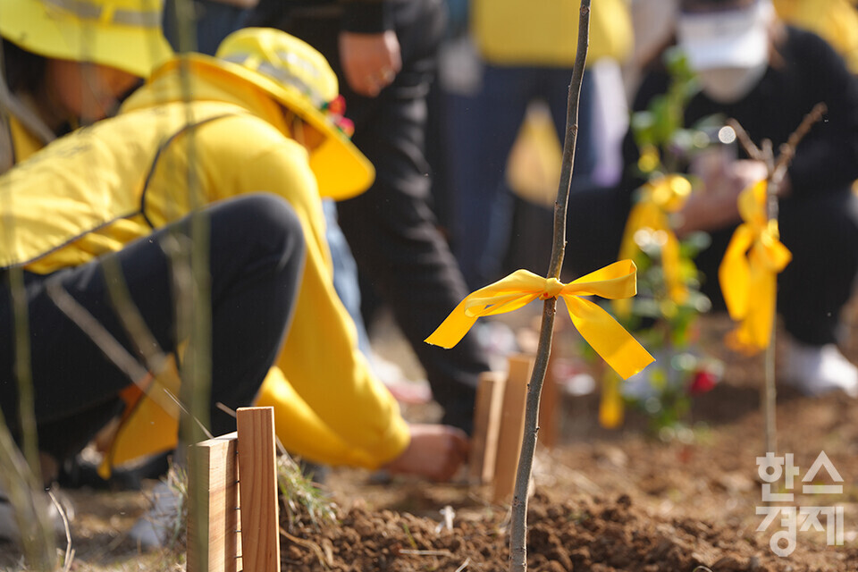 세월호참사 10주기 전국시민행진을 이어가고 있는 세월호 유가족과 시민 등이 15일 오전 안산시 단원구 초지동 소재 화랑유원지 내 4.16생명안전공원 부지에서 생명안전나무를 심고 있다. /안산=최대성 기자 dpdaesung@sporbiz.co.kr 2024.03.15.