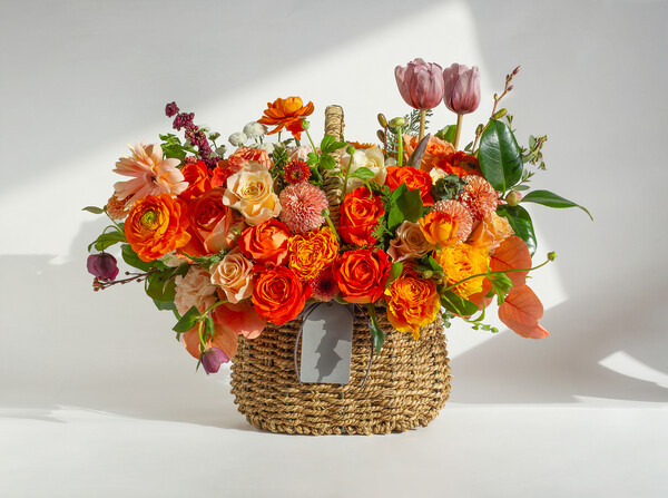 기사와 직접적 관련 없는 이미지 / 이미지투데이