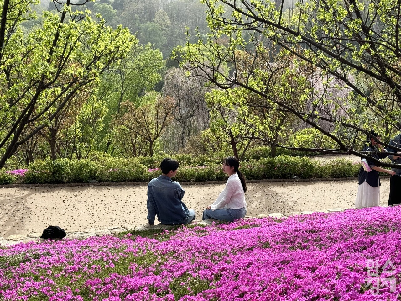 에버랜드 하늘정원길. /강상헌 기자