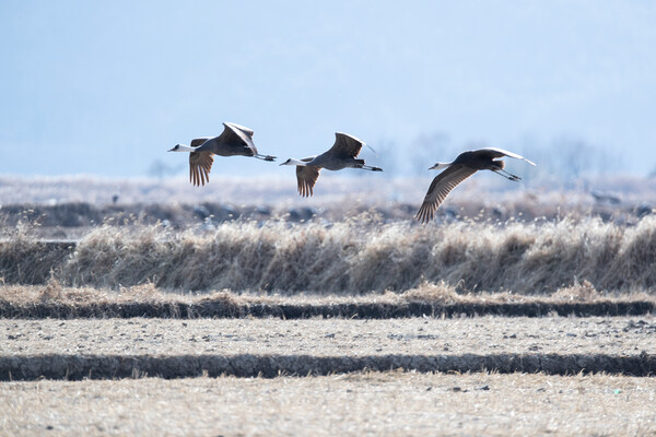 기사와 직접적 관련 없는 이미지 / 이미지투데이