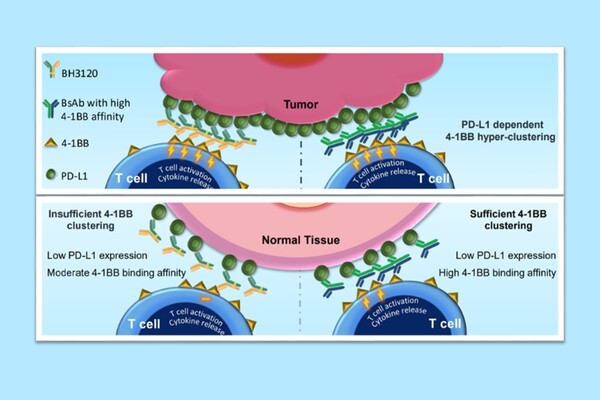 북경한미약품이 미국암연구학회(AACR 2023)에서 발표한 BH3120의 작용 기전. /한미약품 제공