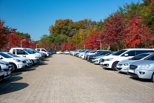 기사와 직접적 관련 없는 이미지 / 이미지투데이