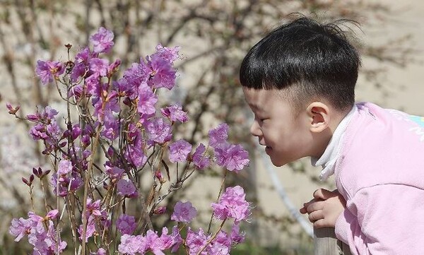 봄 날씨. /연합뉴스 제공