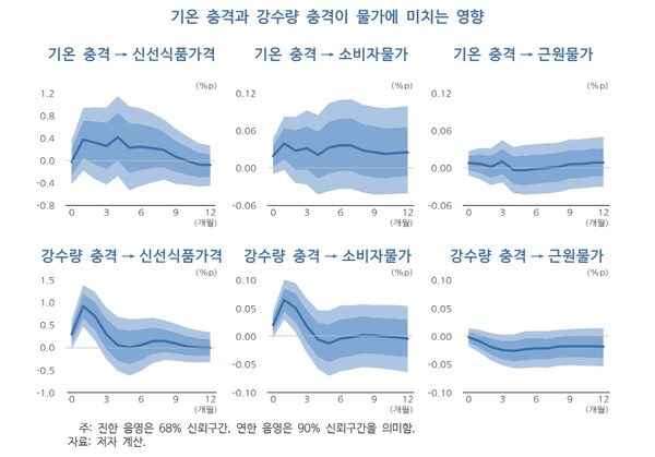 기온과 강수량 등 날씨 충격이 물가에 미치는 영향. / 한국개발연구원(KDI) 제공. 