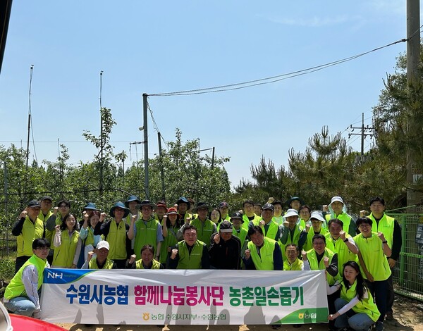 농협 수원시지부와 수원농협은 범 농협 임직원들이 참석한 가운데 10일 화성시 마도면 과수농가에서 사과나무 열매솎기 작업으로 농촌 일손돕기를 실시했다./ 경기농협 제공