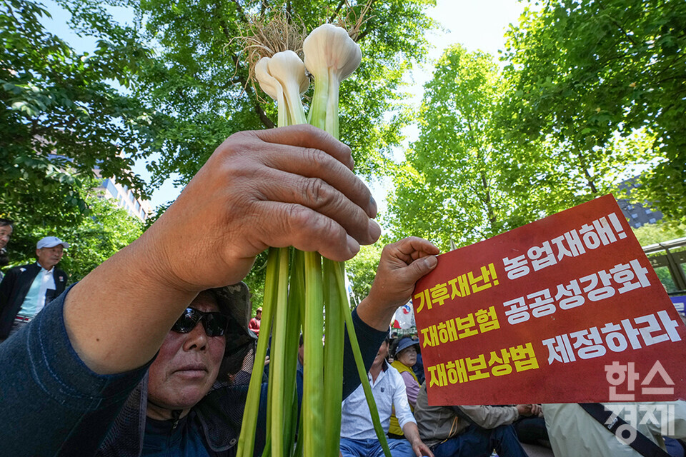전국농민회총연맹 등 8개 농민단체가 모인 농민의길이 14일 오후 서울 여의도 국회 앞에서 기후재난시대 농민생존권대책촉구 결의대회를 열고 있다. 한 농민이 마늘과 손피켓을 들고 있다. /최대성 기자 dpdaesung@sporbiz.co.kr 2024.05.14.
