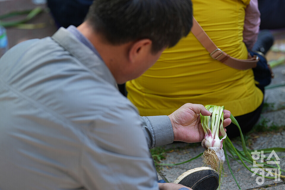 전국농민회총연맹 등 8개 농민단체가 모인 농민의길이 14일 오후 서울 여의도 국회 앞에서 기후재난시대 농민생존권대책촉구 결의대회를 열고 있다. 한 농민이 마늘을 살피고 있다. /최대성 기자 dpdaesung@sporbiz.co.kr 2024.05.14.