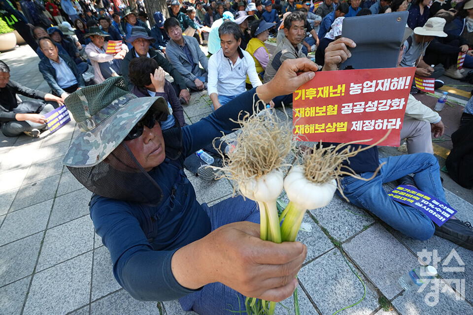 전국농민회총연맹 등 8개 농민단체가 모인 농민의길이 14일 오후 서울 여의도 국회 앞에서 기후재난시대 농민생존권대책촉구 결의대회를 열고 있다. 참석한 농민들이 마늘과 피켓을 들고 참석하고 있다. /최대성 기자 dpdaesung@sporbiz.co.kr 2024.05.14.