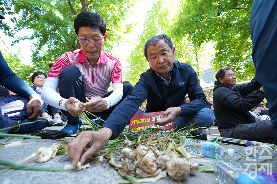 전국농민회총연맹 등 8개 농민단체가 모인 농민의길이 14일 오후 서울 여의도 국회 앞에서 기후재난시대 농민생존권대책촉구 결의대회를 열고 있다. 참석한 농민들이 집회중에 마늘을 손질하고 있다. /최대성 기자 dpdaesung@sporbiz.co.kr 2024.05.14.