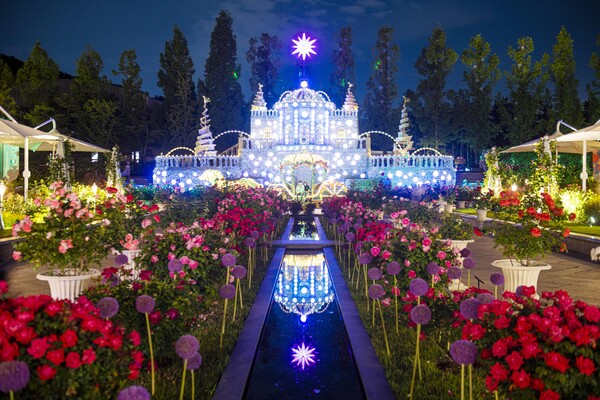 환상적인 에버랜드 장미원 야경. /에버랜드 제공