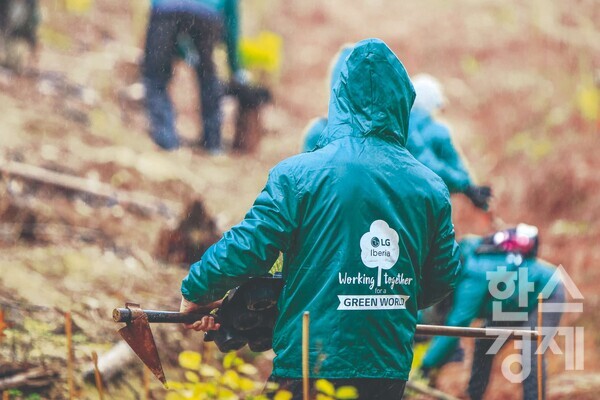 LG전자 스페인 법인은 스페인 및 포르투갈 주요 지역에서 산림 재생 캠페인  '스마트 그린 트리'를 진행하고 있다.  / LG전자