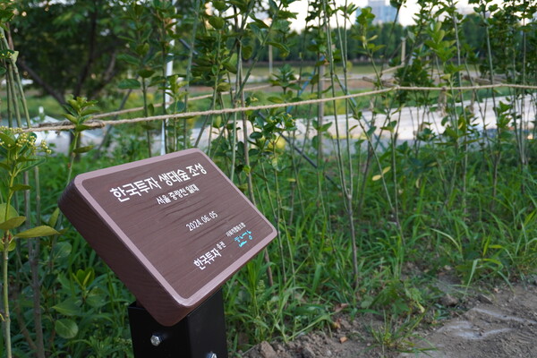 한국투자증권 제공.