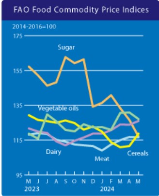 유엔 식량농업기구(FAO)가 발표한 5월 세계식량가격지수에 따르면 국제 곡물과 유제품 가격이 오르고, 설탕과 유지류 가격이 하락했다. / 유엔 식량농업기구 5월 세계식량가격지수 보고서 갈무리
