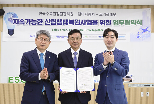 현대자동차, 산불피해 지역 산림생태복원 나선다. /현대차 제공