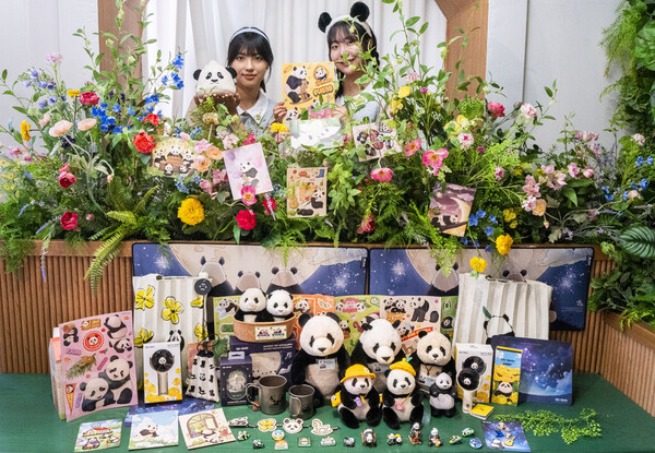 에버랜드 바오패밀리 팝업 시즌2. /에버랜드 제공