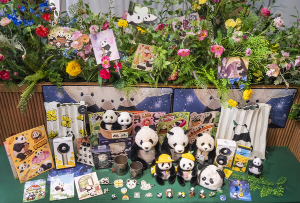 에버랜드 바오패밀리 팝업 시즌2. /에버랜드 제공